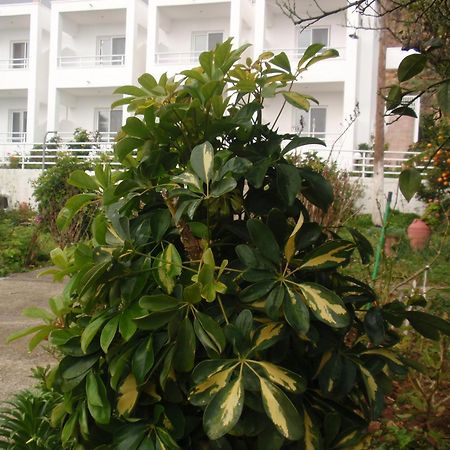 Ferienwohnung Antouan Matina Archangelos  Exterior foto