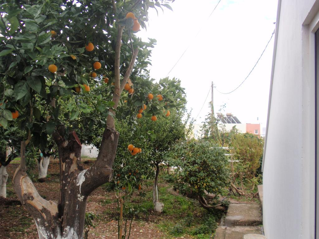 Ferienwohnung Antouan Matina Archangelos  Exterior foto