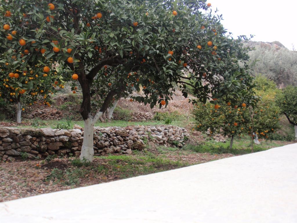 Ferienwohnung Antouan Matina Archangelos  Exterior foto